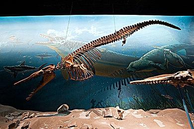 收购大战已经打响 索尼第一方工作室阵容盘点