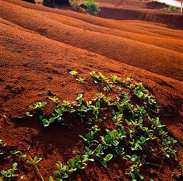 SE公布生活模拟RPG《Harvestella》 登陆PC和Switch